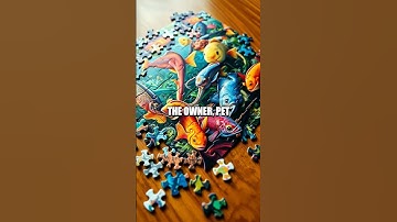 The Puzzle of Einstein