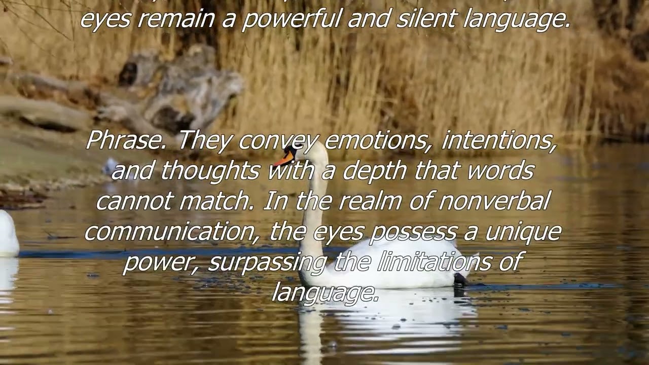 The blend of music and literary art. Sometimes, the eyes say more than words can.