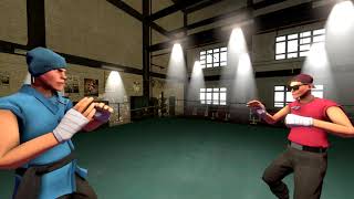 A Test Fight (SFM)