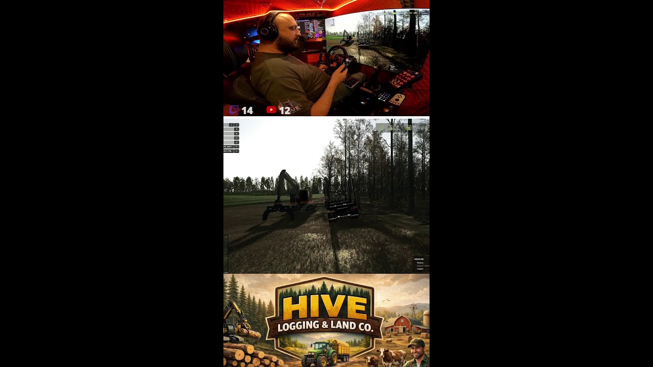 Part 2  FS25 Logging & Lumber Grind LIVE 🌲 Started With $0