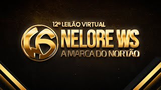 LOTE 23