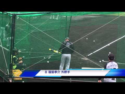 阪神タイガースキャンプ037 沖縄 ８福留孝介 熱心なトスバッティング②