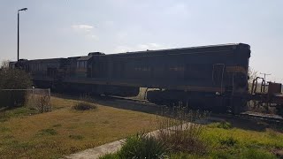 Locomotive Serbia Cargo 661-256 & 117 / Freight train (NS - PA) / Donji Titel - Titel, 26. 03. 2021.