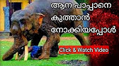 Thechikottukavu Ramachandran Thechikottukavu Ramachandran Attack Elephant Attack Kgf2 Youtube