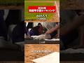 【2026年】熱闘甲子園テーマソングVaundy 「かげろう」#sports #shorts #野球 #大谷翔平 #甲子園 #高校野球 #プロ野球 #かげろう #熱闘甲子園