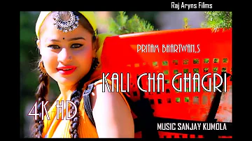 LATEST GARHWALI DJ MASH UP 2019  # PRITAM BHARTWAN   RAJ ARYAN # SANJAY KUMOLA