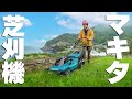 マキタの充電式芝刈り機で雑草を刈り続けた結果・・・