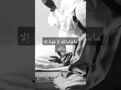 ماشاء الله لا قوة الا بالله حديث شريف اركان الاسلام الشعراوي