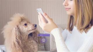 Mobilogy Now - Ultrafast Content Transfer screenshot 1