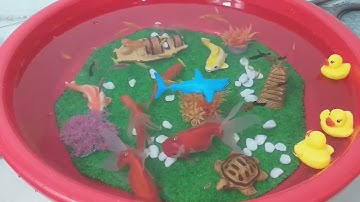 Động Vật Dễ Thương,Âm Thanh Động Vật,Cá Mập,Cá Heo,Cá Chép,Cá Koi,Cá Đuối,Bọ Ngựa,Chuồn Chuồn,Animas