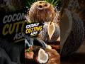 ASMR | Coconut cutting asmr | Fruit cutting asmr | Satisfying asmr | Glass coconut cutting asmr