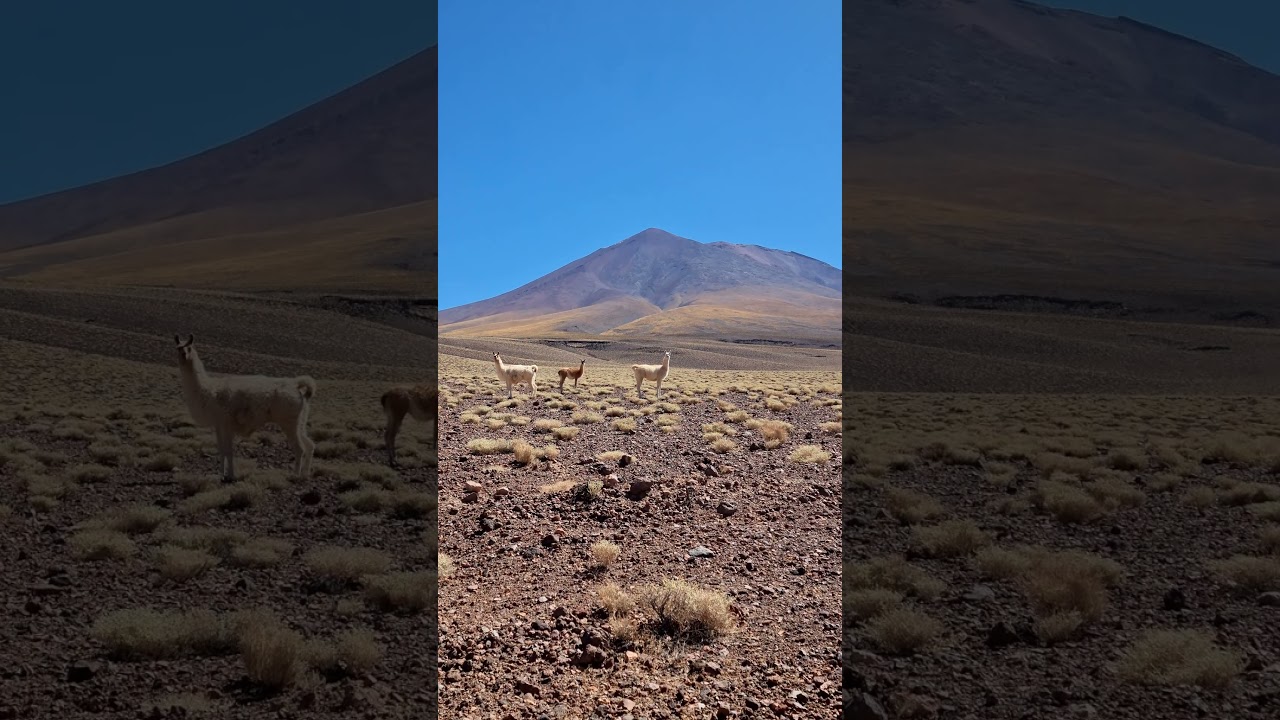 Laguna Verde ll Región de Antofagasta, Chile.. #ollague