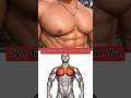 🔥 Ultimate Lower Chest Power Workout 🔥 #shorts #youtubeshorts #ytshorts #youtube #viral