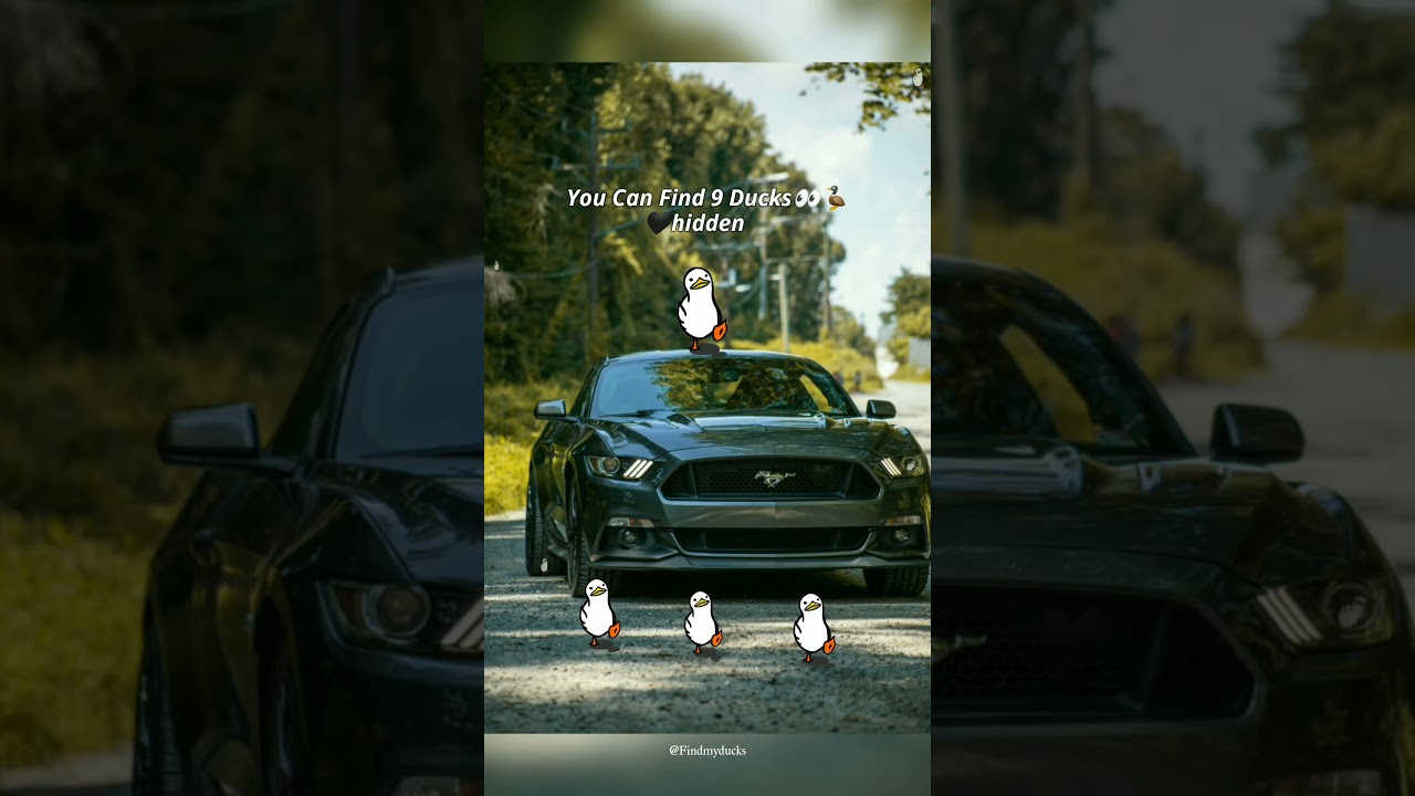 You Can Find 9 Ducks👀🦆1 hidden 🖤