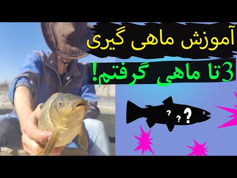 تصویری: دریاچه ای با نیرنگ. پایک روی میله ماهیگیری