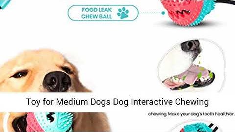 Dog Chew Suction Cup Tug of War Toy Multifunction Interactive Pet