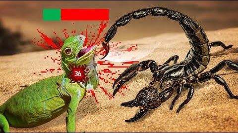 Are Scorpions Overpowered?