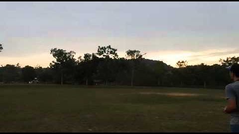 ALZRC devil 480 low RPM flight