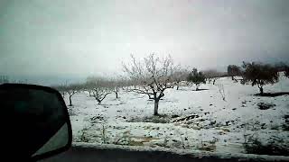 Araba Gezintisi Diyelimm