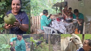 Nosso dia em família no recanto almoço caipira colheita + como plantar orquídeas no coco e rotina 