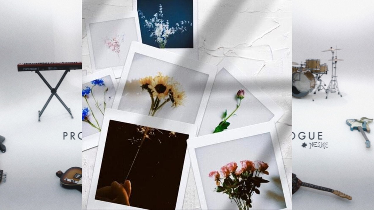 花図鑑」(Flower Pictorial Book) - NELKE [Lyrics Rom°Eng] - YouTube