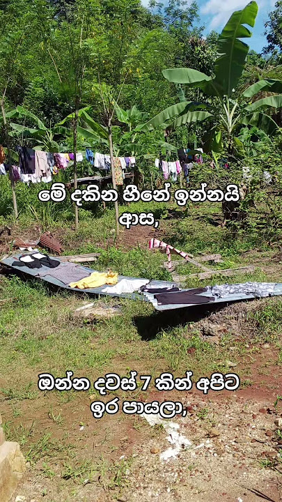 me dakina hine innai asa, ko ada ira payalaa thiyenne kohetada,