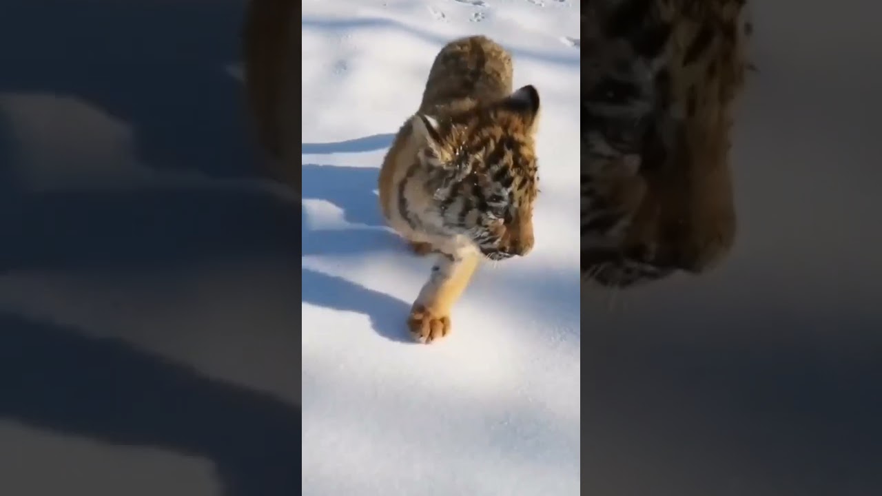 ft. call me 📞 by your name 