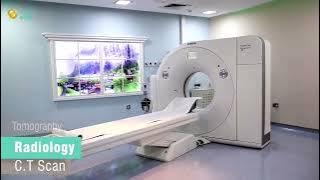 Snapsave app 313188287 640467934423439 700069057396492523 n