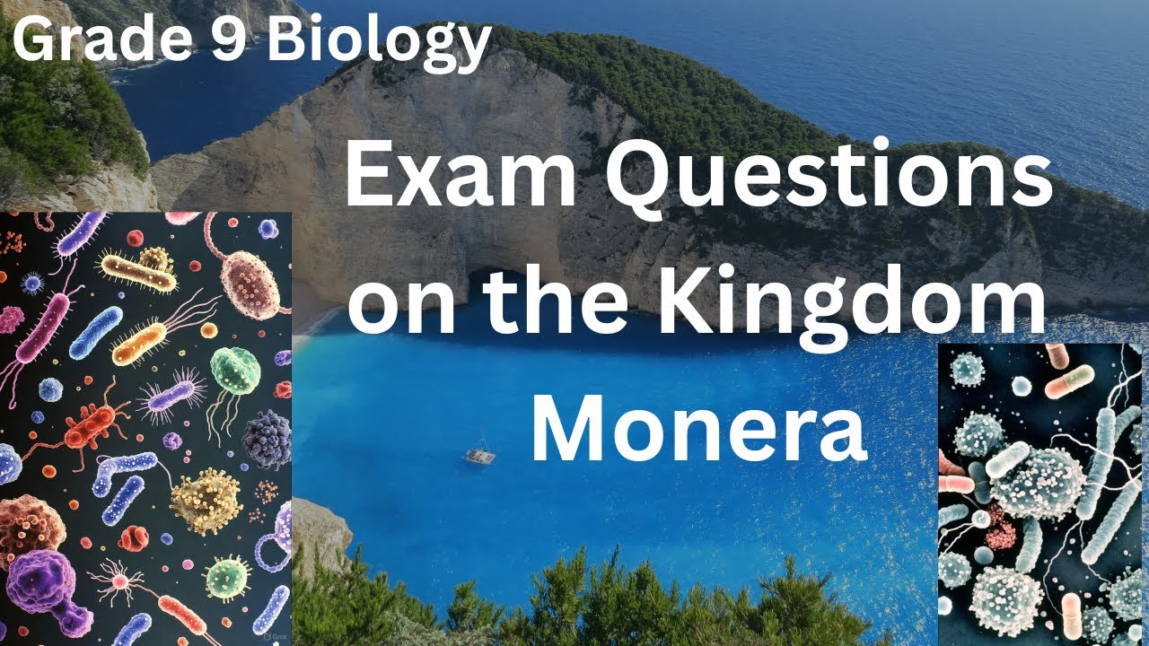 Exam Questions on the Kingdom Monera (Grade 9 Biology)