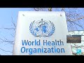 World Health Organization announces 'significant' layoffs amid US funding cuts • FRANCE 24 English
