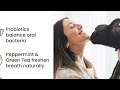 🍃 Stop Bad Dog Breath Fast! Best Enzyme Dental Powder for Dogs & Cats 🦷