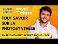 LA PHOTOSYNTHÈSE - TOUT COMPRENDRE - ENSEIGNEMENT SCIENTIFIQUE