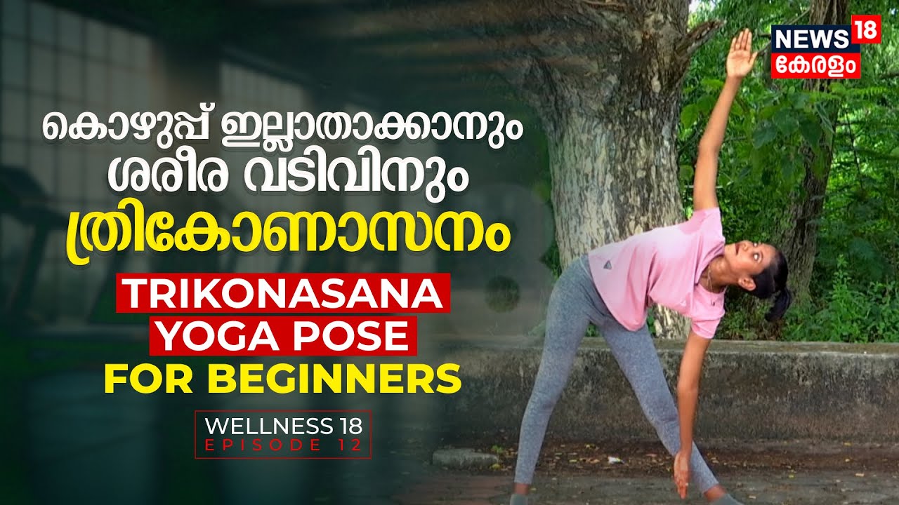 എല്ലാവർക്കും യോഗ ചെയ്യാം, Day 5, sitting asanas to do daily, yoga for  beginners, Yoga Malayalam - YouTube