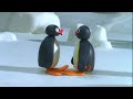 Pingu And Pingi Kiss Compilation