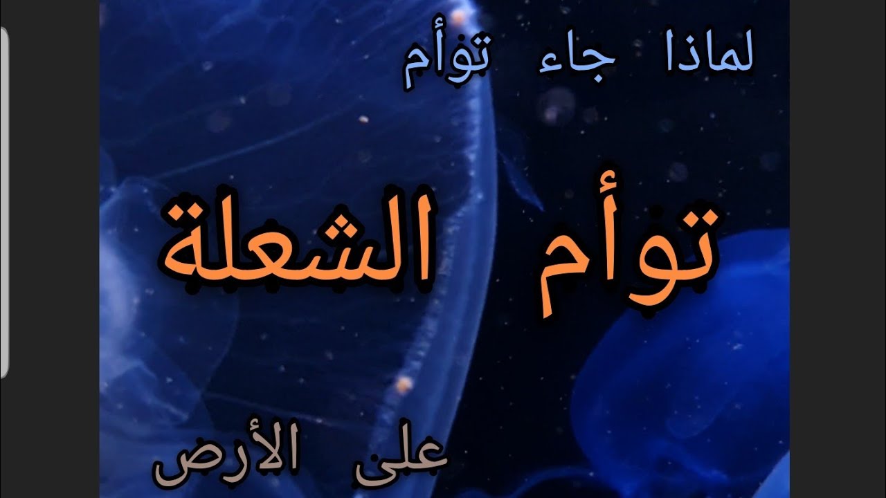 لماذا جاء توأم الشعلة على الأرض 🏃‍♂️🏃‍♀️