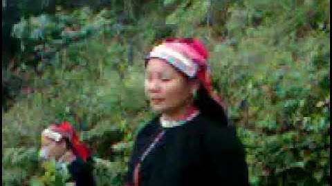 Hát Đối Đáp Tại Đám Cưới Tỉnh Cao Bằng ✓ Kết Nối Bốn Phương