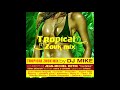 Tropical zouk mix by dj mike feat sonia dersion  ou s soleil