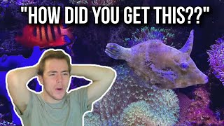 Fish Biologist STUNNED by viewer aquariums!