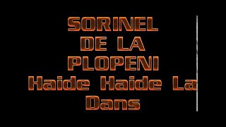 SORINEL DE LA PLOPENI    HAIDE HAIDE LA DANS