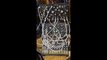 MAKE NOISE EASEL (STREGA O COAST O CTRL) patch breakdown and exploration