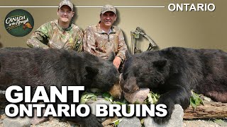 Archery Hunting Big Black Bears | Canada in the Rough