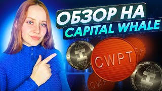 Capital Whale: все инструменты для заработка здесь!