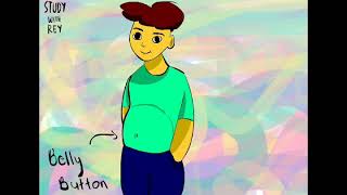 Belly Button Biodiversity | Study With Rey