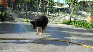 DSCN0745.AVI