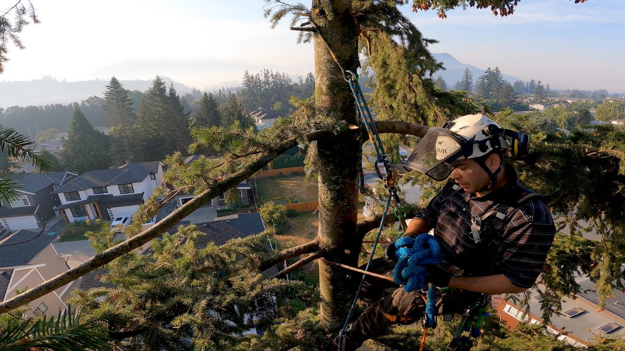 Lot Clearing Job in Chilliwack YouTube