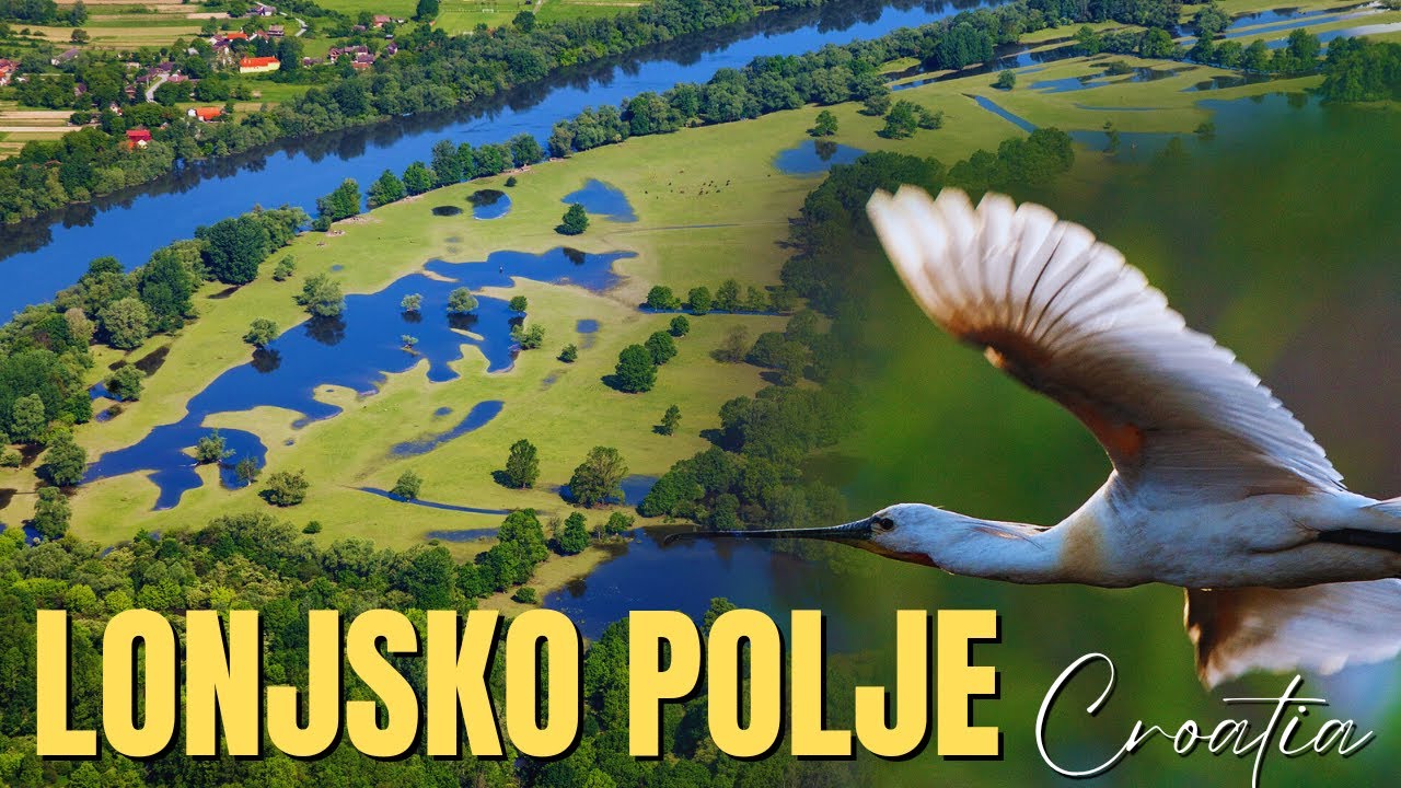 Lonjsko Polje, Croatia – Where Wild Nature Meets Timeless Village Life