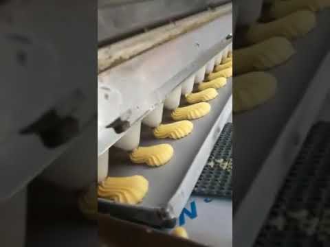 ظفر مركز تمى الامديد الدقهلية