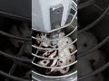 IMPASTO MARITOZZI CON UVETTA CON IMPASTATRICE GM/7i #kitchen #food #homemade