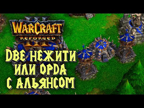 Видео: ДВЕ НЕЖИТИ ИЛИ ОРДА С АЛЬЯНСОМ: 2vs2 Warcraft 3 Reforged