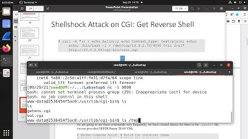 Lab05: SEED 2.0 Shell shock Attack Lab Part 2